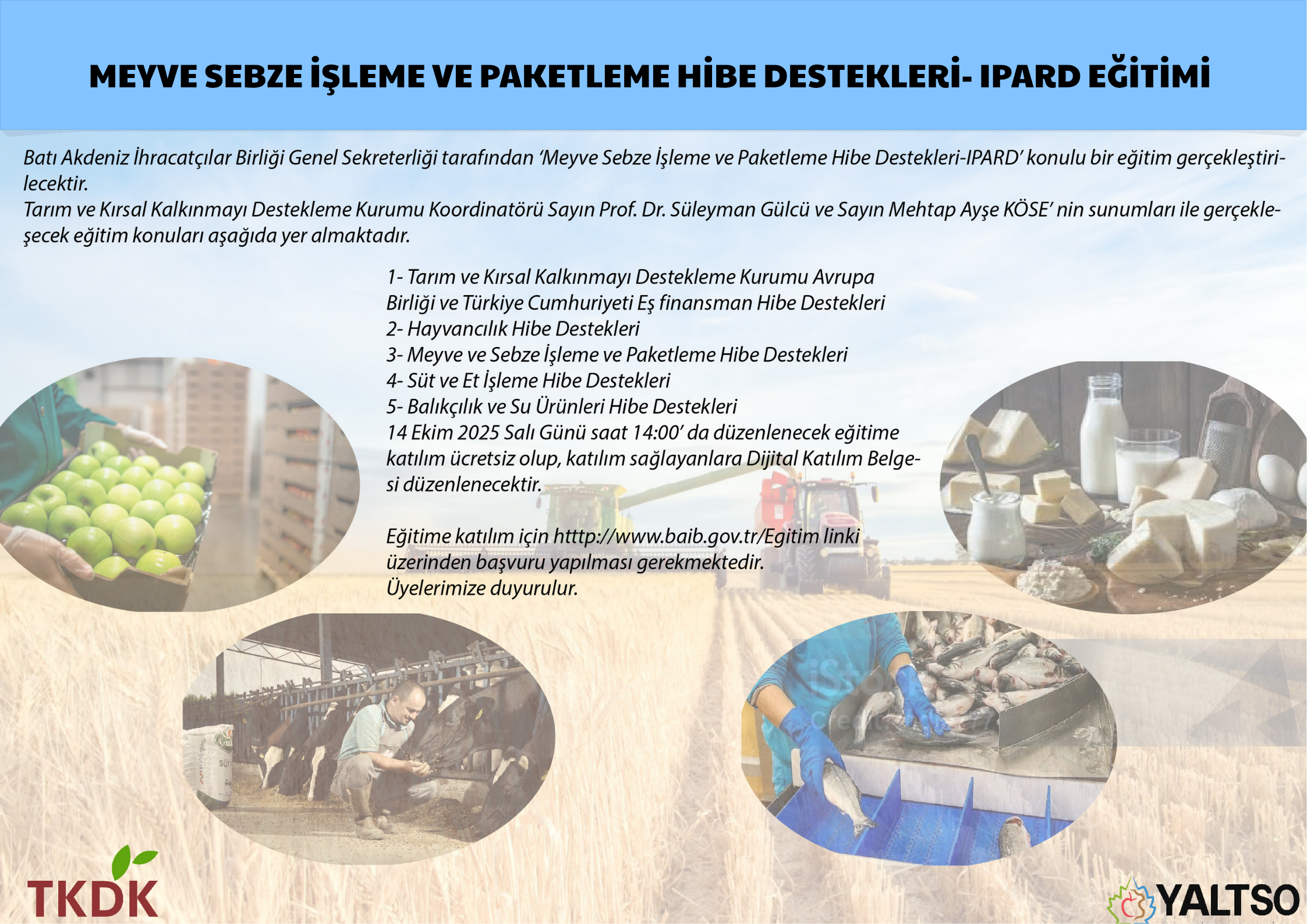 MEYVE SEBZE İŞLEME VE PAKETLEME HİBE DESTEKL
