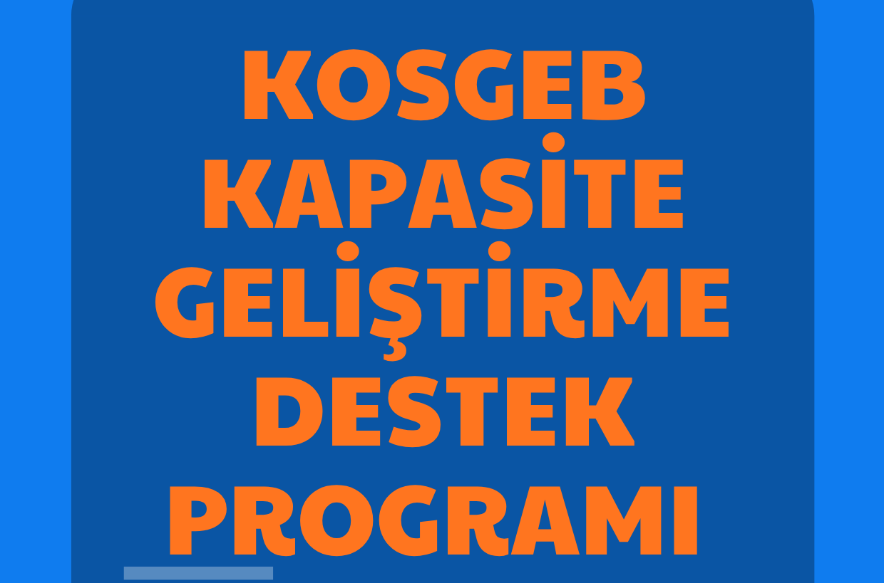KOSGEB Kapasite Geliştirme Destek Programı B